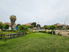 3 Habitación Casa en venta en San Martin de Porres, Lima, San Martin de Porres