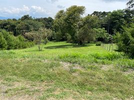  Land for sale in Calima, Valle Del Cauca, Calima