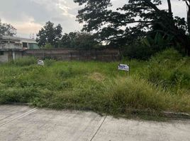  Terreno (Parcela) en venta en Tulua, Valle Del Cauca, Tulua