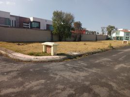  Grundstück zu verkaufen in Toluca, Mexico, Toluca