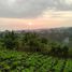  Land for sale in Bandung, West Jawa, Ngamprah, Bandung