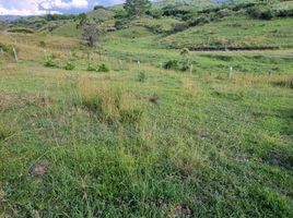  Terreno (Parcela) en venta en Tulua, Valle Del Cauca, Tulua