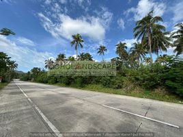  Land for sale in Maribojoc, Bohol, Maribojoc