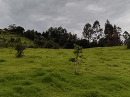  Land for sale in Ruminahui, Pichincha, Sangolqui, Ruminahui