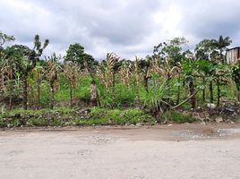  Land for sale in Santo Domingo De Los Colorados, Santo Domingo De Los Tsachilas, Santo Domingo De Los Colorados, Santo Domingo, Santo Domingo De Los Tsachilas