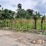  Land for sale in Santo Domingo De Los Colorados, Santo Domingo De Los Tsachilas, Santo Domingo De Los Colorados, Santo Domingo, Santo Domingo De Los Tsachilas