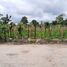  Land for sale in Santo Domingo De Los Colorados, Santo Domingo De Los Tsachilas, Santo Domingo De Los Colorados, Santo Domingo, Santo Domingo De Los Tsachilas