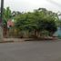  Land for sale in Quinsaloma, Los Rios, Quinsaloma, Quinsaloma