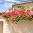 Villa 4 chambre à vendre à Tijuana, Baja California, Tijuana