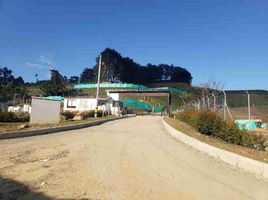  Terreno (Parcela) en venta en La Ceja, Antioquia, La Ceja