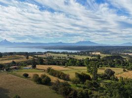 Land for sale in Chile, Entre Lagos, Osorno, Los Lagos, Chile