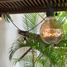 3 Habitación Casa en venta en Acapulco, Guerrero, Acapulco