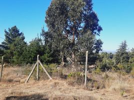  Terreno (Parcela) en venta en Chile, El Quisco, San Antonio, Valparaíso, Chile