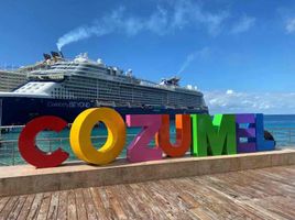  Grundstück zu verkaufen in Cozumel, Quintana Roo, Cozumel