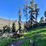  Terreno (Parcela) en venta en Chile, Quilpue, Valparaíso, Valparaíso, Chile