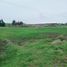  Terrain for sale in Chinchero, Urubamba, Chinchero