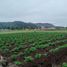  Terrain for sale in Chinchero, Urubamba, Chinchero