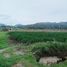  Land for sale in Chinchero, Cusco, Chinchero
