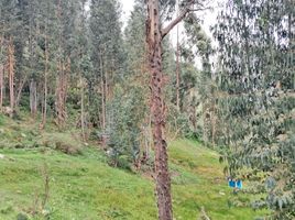  Terrain for sale in Urubamba, Cusco, Ollantaytambo, Urubamba