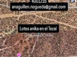  Terrain for sale in Baja California Sur, La Paz, Baja California Sur