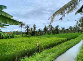  Land for sale in Tabanan, Bali, Tabanan, Tabanan