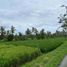  Land for sale in Tabanan, Bali, Tabanan, Tabanan