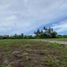  Land for sale in Tabanan, Bali, Tabanan, Tabanan