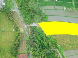  Land for sale in Ubud, Gianyar, Ubud