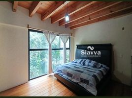 在Valle De Bravo, Mexico出租的3 卧室 住宅, Valle De Bravo