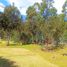  Land for sale in Zipaquira, Cundinamarca, Zipaquira