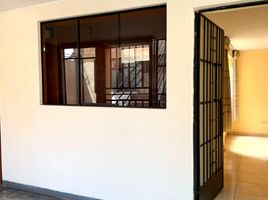 2 Bedroom Condo for rent in Los Olivos, Lima, Los Olivos, Lima, Lima