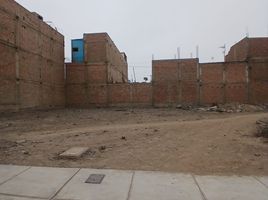 Terrain à vendre à Carabayllo, Lima, Carabayllo, Lima, Lima, Pérou