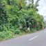  Land for sale in Mabini, Calabarzon, Mabini