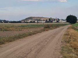 Grundstück zu verkaufen in Tlajomulco De Zuniga, Jalisco, Tlajomulco De Zuniga