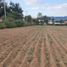 Grundstück zu verkaufen in Tlajomulco De Zuniga, Jalisco, Tlajomulco De Zuniga