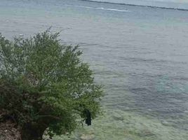  Land for sale in Lapu-Lapu City, Central Visayas, Lapu-Lapu City, Cebu