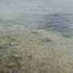  Land for sale in Lapu-Lapu City, Central Visayas, Lapu-Lapu City, Cebu