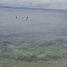  Land for sale in Lapu-Lapu City, Central Visayas, Lapu-Lapu City, Cebu