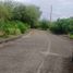 Land for sale in Lapu-Lapu City, Central Visayas, Lapu-Lapu City, Cebu