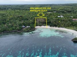  Land for sale in San Francisco, Cebu, San Francisco