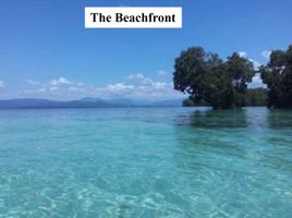  Land for sale in Puerto Princesa City, Mimaropa, Puerto Princesa City, Palawan, Mimaropa