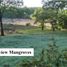  Land for sale in Puerto Princesa City, Mimaropa, Puerto Princesa City, Palawan, Mimaropa