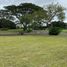  Land for sale at Treveia Nuvali, Calamba City