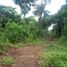  Land for sale in Puerto Princesa City, Mimaropa, Puerto Princesa City, Palawan, Mimaropa
