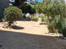 3 Bedroom Apartment for rent in Hospital Naval Almirante Nef, Vina Del Mar, Vina Del Mar