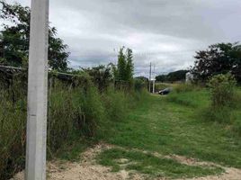  Terreno (Parcela) en venta en Coatepec, Veracruz, Coatepec