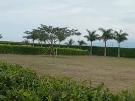  Land for sale in Palmira, Valle Del Cauca, Palmira