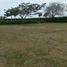  Land for sale in Palmira, Valle Del Cauca, Palmira