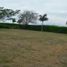  Land for sale in Palmira, Valle Del Cauca, Palmira