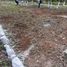  Land for sale in Telchac Pueblo, Yucatan, Telchac Pueblo, Yucatan